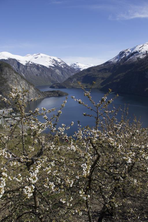 Valldal Camping Екстер'єр фото